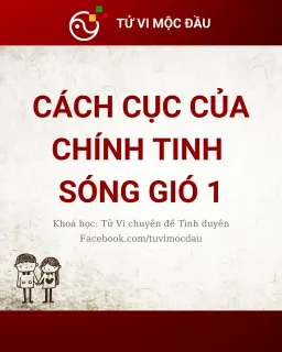 Cách cục của chính tinh sóng gió 1