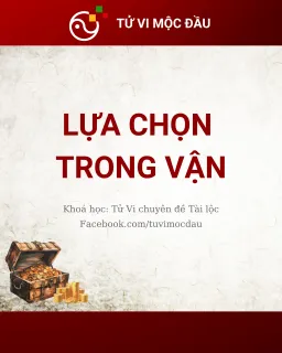 Lựa chọn trong vận