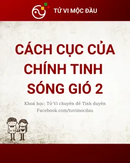 Cách cục của chính tinh sóng gió 2
