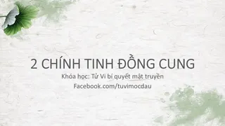 2 chính tinh đồng cung