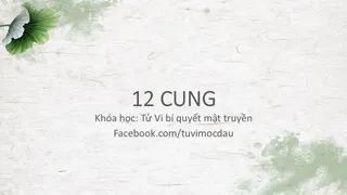 12 cung
