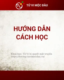 Hướng dẫn cách học